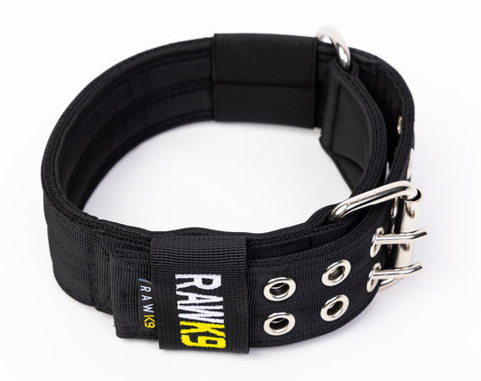 Double Pin Collar - RawK9