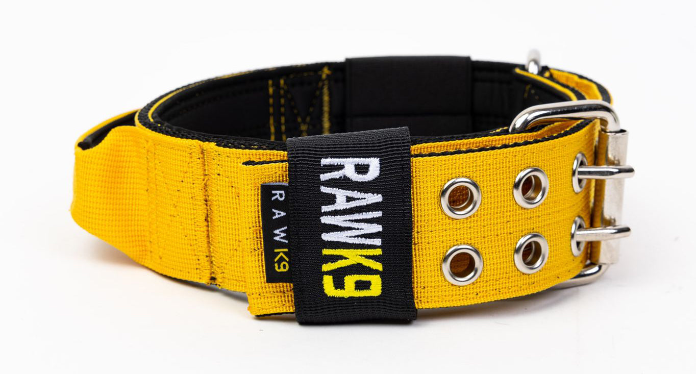 Double Pin Handle Collar - RawK9