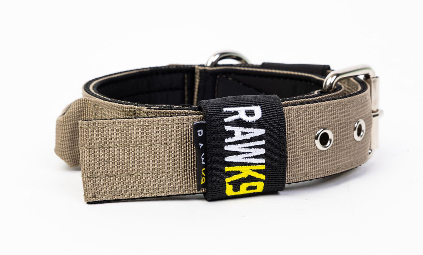 Single Pin Collar - RawK9