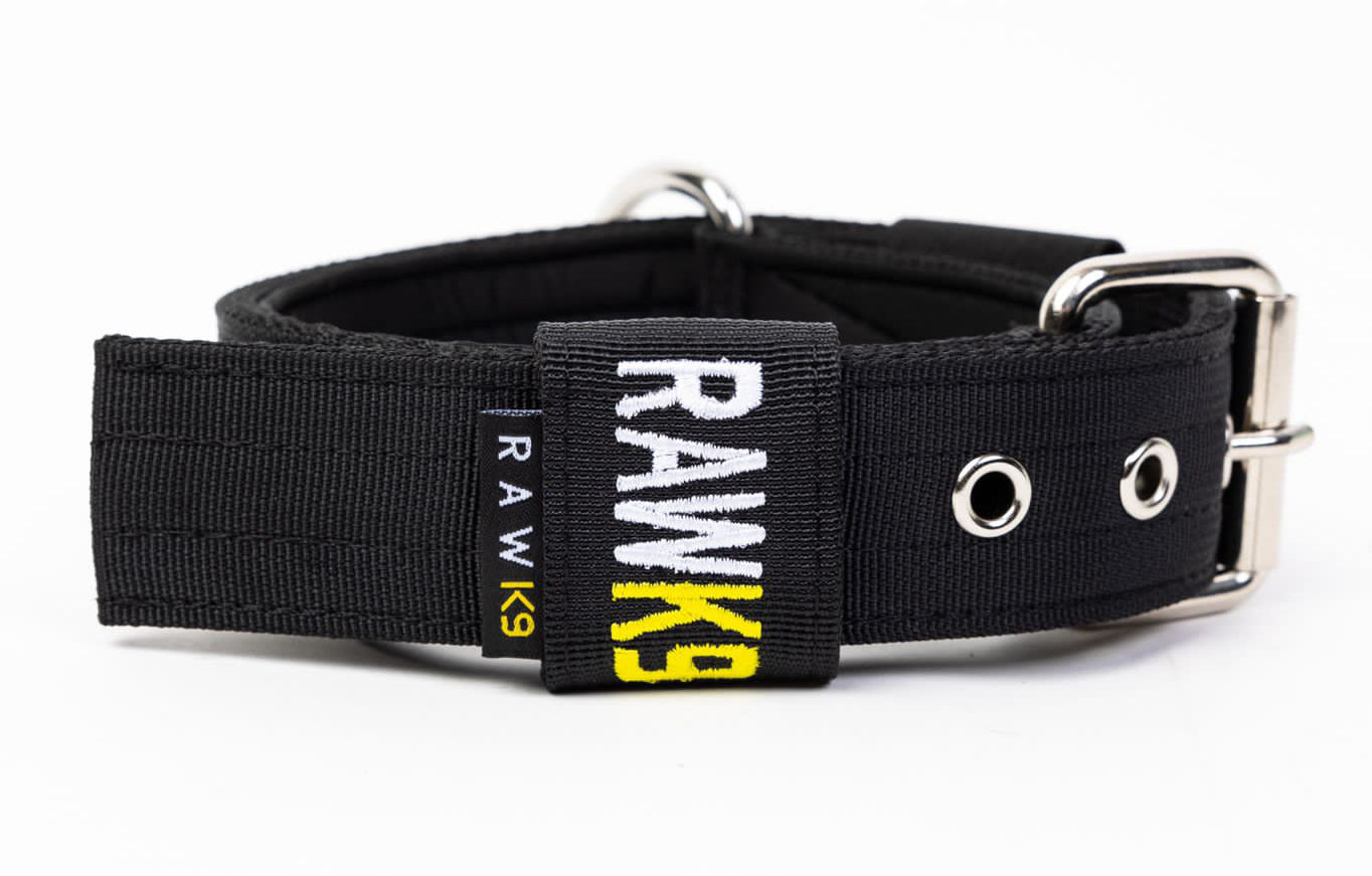 Single Pin Collar - RawK9