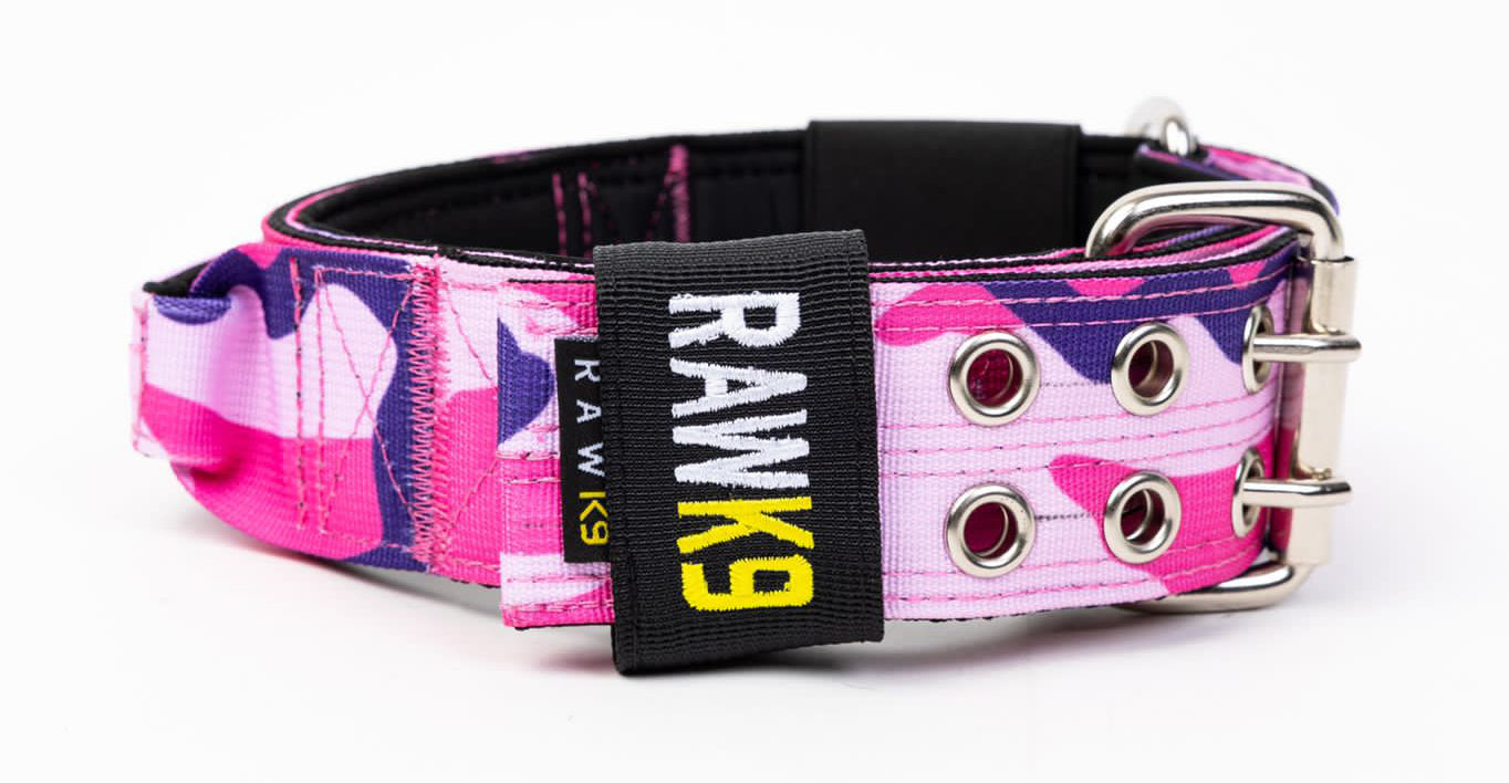 Double Pin Handle Collar - RawK9