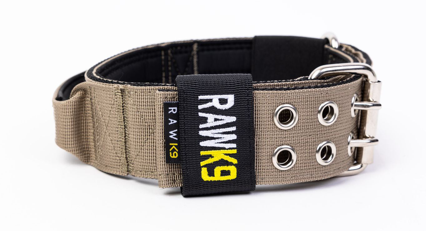 Double Pin Handle Collar - RawK9