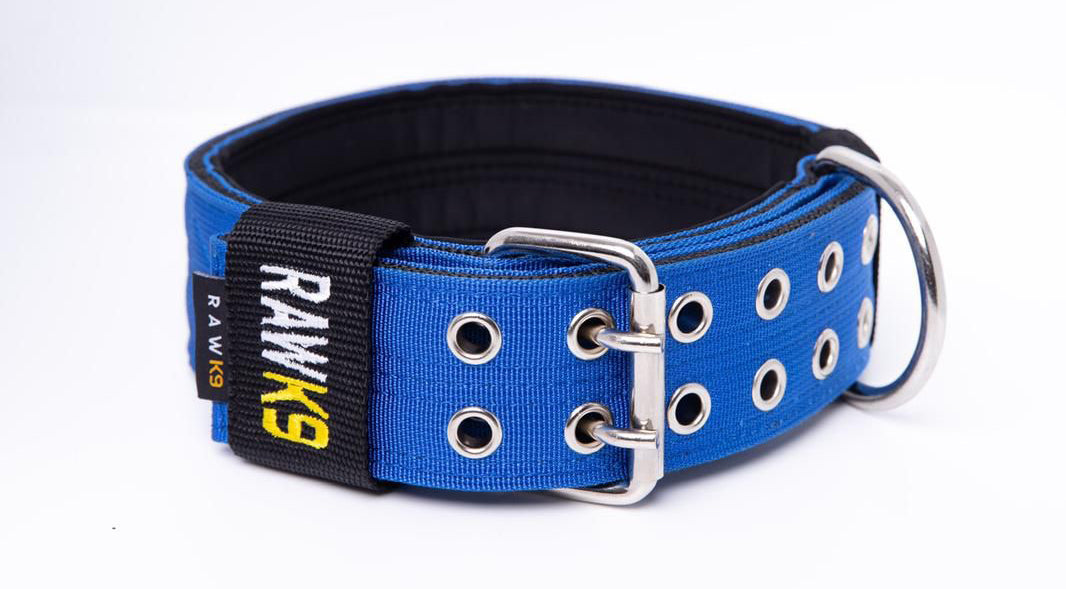 Double Pin Collar - RawK9