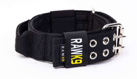 Double Pin Handle Collar - RawK9