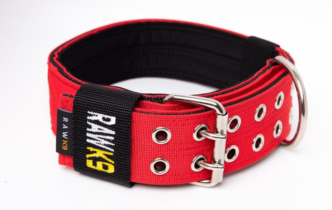 Double Pin Collar - RawK9